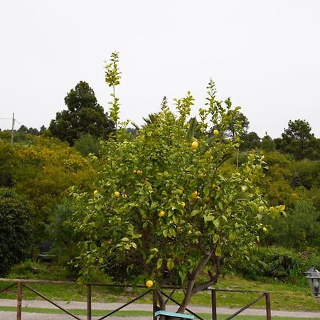 בית הארחה איקוד דה לוס וינוס 	Mirador De Marengo מראה חיצוני תמונה